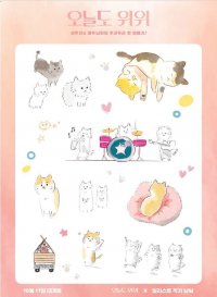 The Journey of the 12 Cats