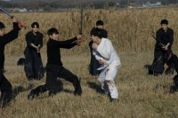 Joseon Fist