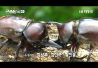 Insect Kingdom 3D