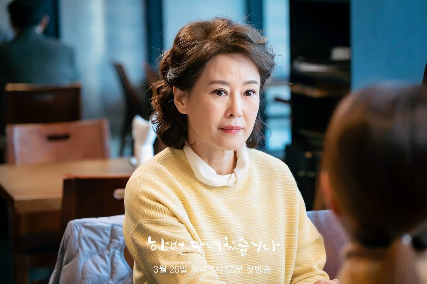 Cha-Hwa-yeon sinopsis divorce attorney shin
