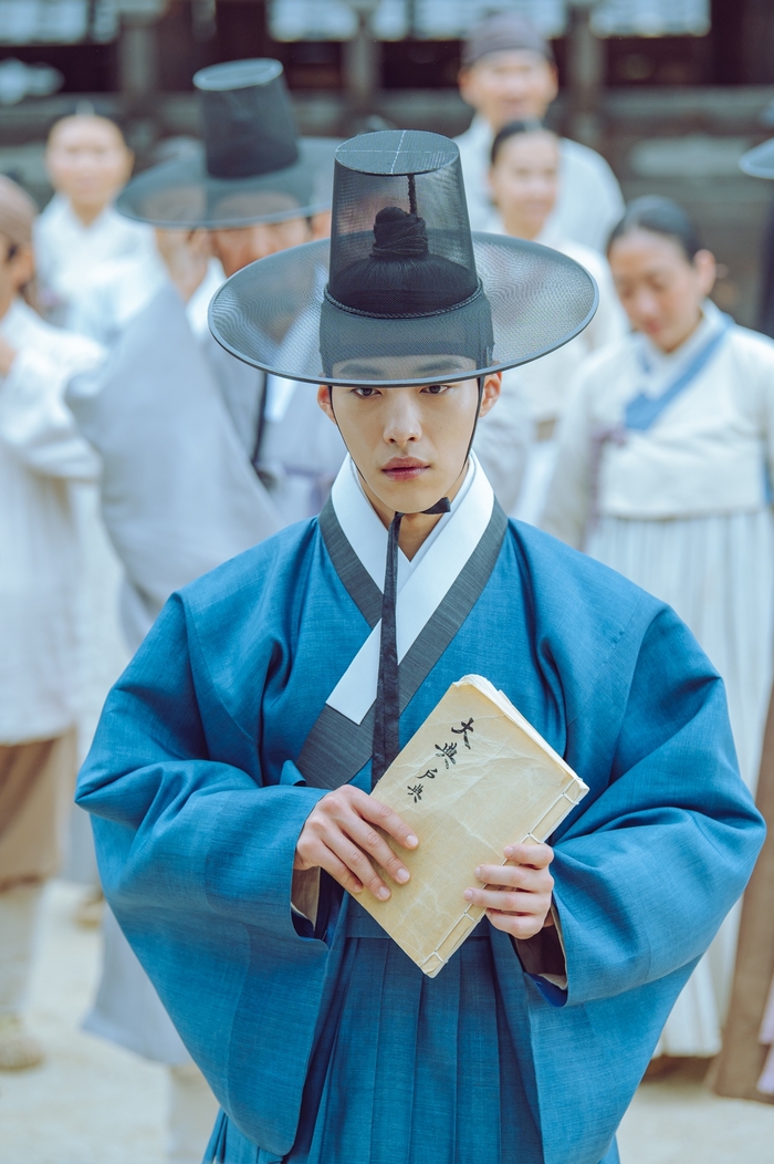 Joseon Lawyer