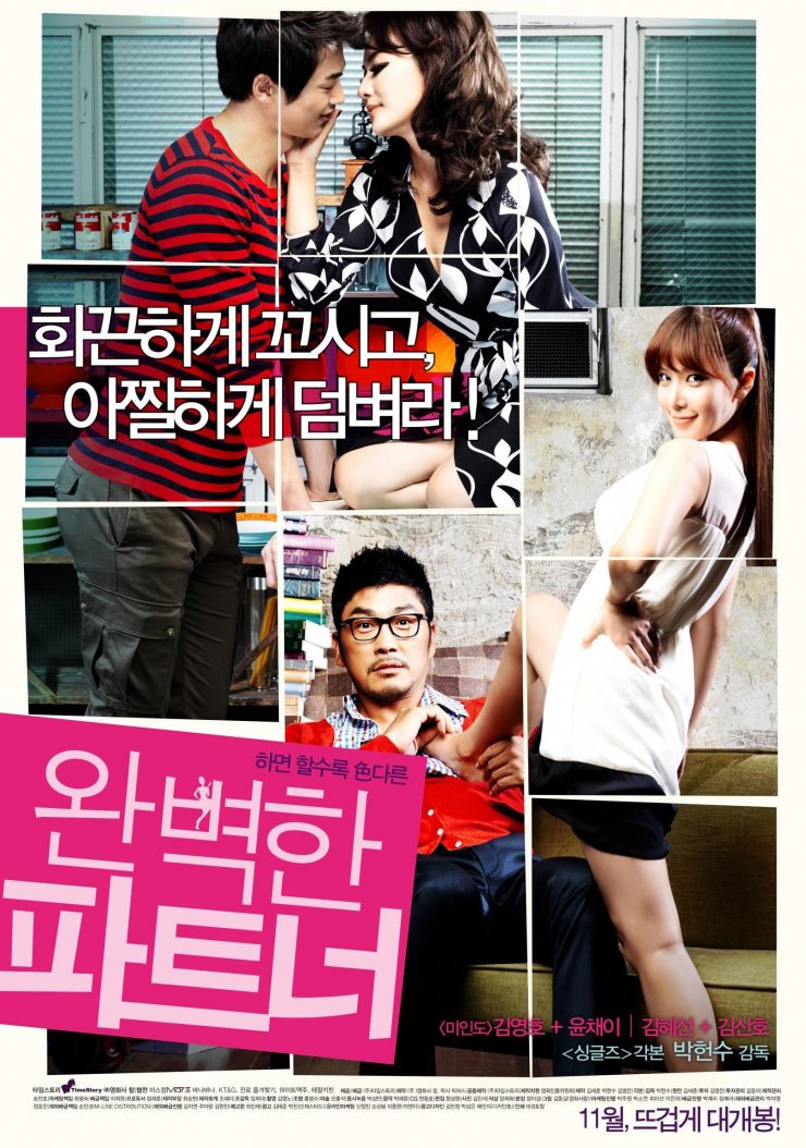 Perfect Partner - Poster (Movie, 2011, 완벽한 파트너) @ HanCinema