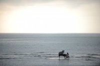 A Piano on the Sea