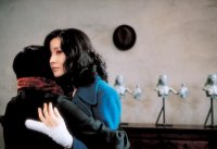 Sympathy for Lady Vengeance